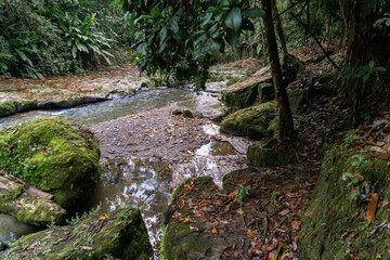Enchanted places in the jungle, pure water, river and enchanted forest