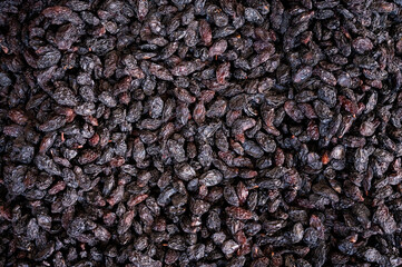 Close-up of dried orange berries. 