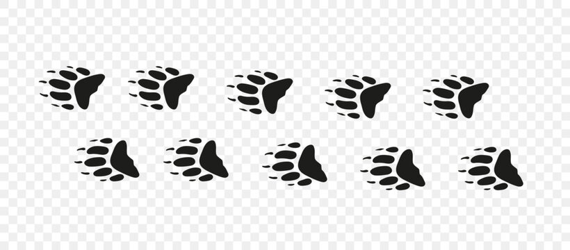 Footpath trail of animal. Badger paws. Badger paws walking randomly print vector isolated on white 