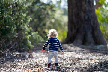 toddler on an adventure in nature