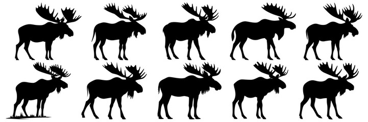 Moose silhouettes set, large pack of vector silhouette design, isolated white background