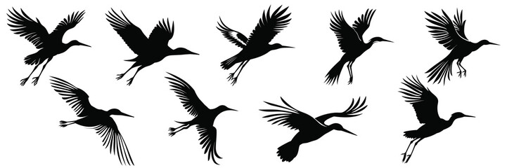 Stork bird silhouettes set, large pack of vector silhouette design, isolated white background