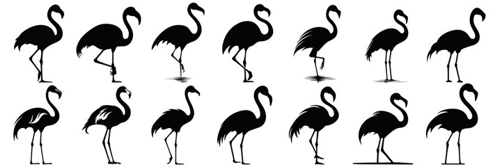 Flamingo silhouettes set, large pack of vector silhouette design, isolated white background