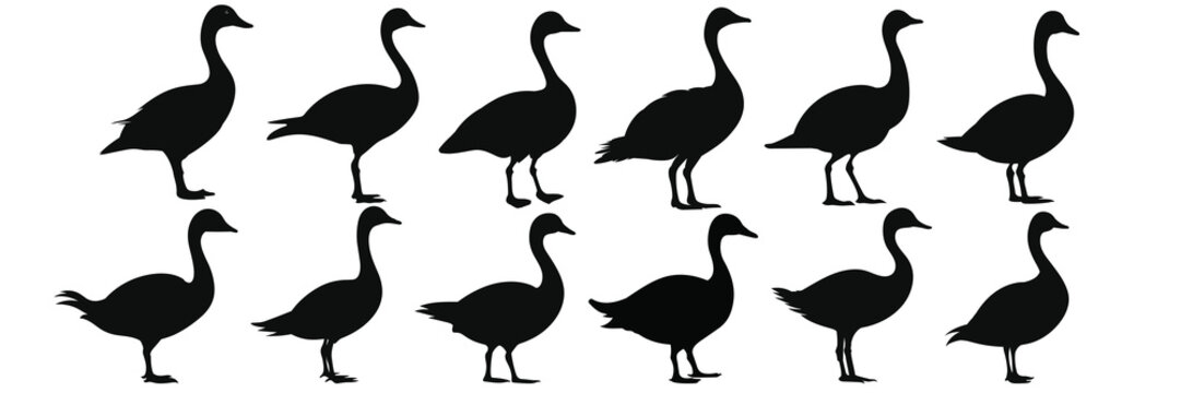 Duck goose hunting silhouettes set, large pack of vector silhouette design, isolated white background