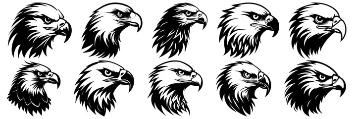 Eagle silhouettes set, large pack of vector silhouette design, isolated white background