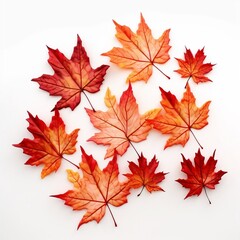 Naklejka na ściany i meble Autumn maple leaf in orange beauty of nature isolated on a white background