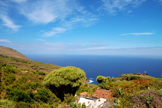 Landschaft im Bereich Las Tricias im Nordwesten von La Palma.