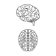 human brain silhouette design. intelligence sign and symbol. knowledge and brainstorming concept.