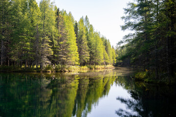 Fototapeta na wymiar Reflection trees at Kitch-iti-kipi spring in Michigan's Upper Peninsula