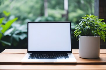 Wooden table with laptop white screen, white potted plant, and blurred background, MacBook