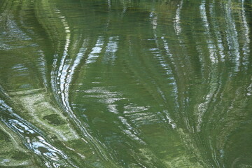 Spiegelung im Wasser