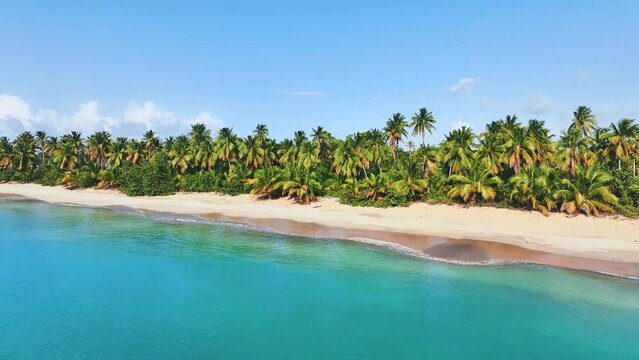 Tropical palm beach on the Caribbean coast on a sunny summer day. Luxurious relaxation on white sand with turquoise ocean waves. Travel to tropical paradise. Blue sky background over the beach.