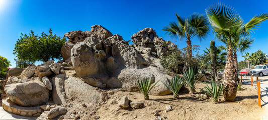 Panoramic view of a desertic scenery of the Cabo San Lucas in Baja California Sur, Mexico. It is a beautiful place with its desertic landscapes, cactus, palm trees, rocks.