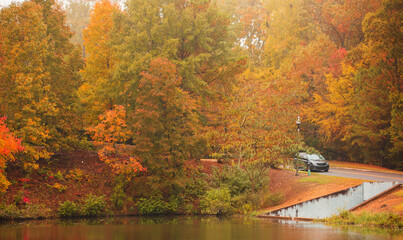 Fototapeta premium Fall's coming