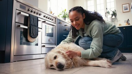Handheld shot of teenage girl at home in kitchen stroking pet golden retriever dog lying on floor - shot in slow motion