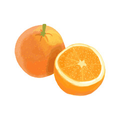 Orange Watercolor Vector, Orange Vector, Orange Fruit, Tangerine Vector, Tangerine Watercolor, Fruit Watercolor, Summer Fruit, Fruit Vector, Illustration Background