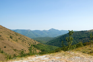 rural summer landscape with a valley in the fog behind a forest on a hill with dried grass. fluffy clouds on a bright blue sky. nature freshness concept