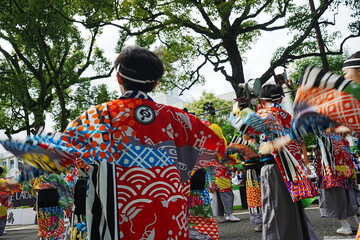 Obraz premium Yosakoi Festival in Kochi, Japan - 日本 高知 よさこい祭り