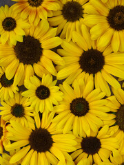 Obraz premium Background with yellow and brown sunflowers motif seen from above. Top view. vertical photo