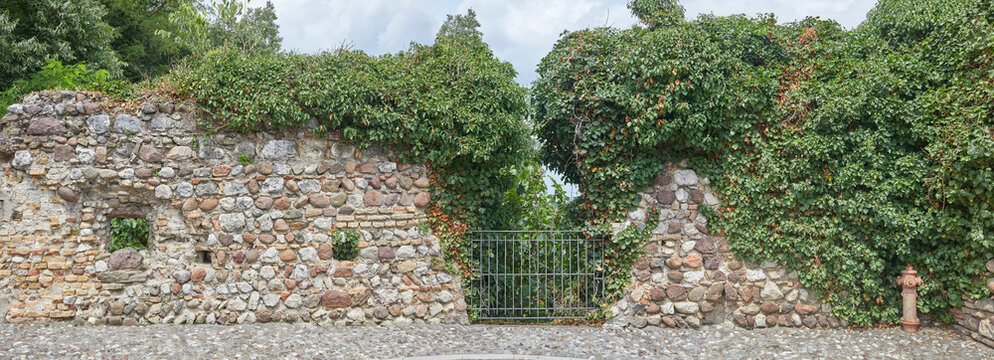 Old castle wall overgrown with ivy, in poster format.