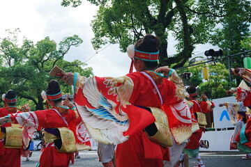 Yosakoi Festival in Kochi, Japan - 日本 高知 よさこい祭り