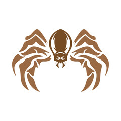 Spider logo icon design