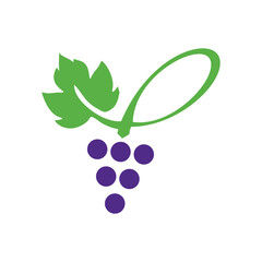 wine logo design vector
