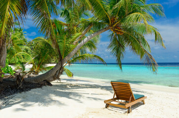 Tropical Beach on the Maldives - 644543950
