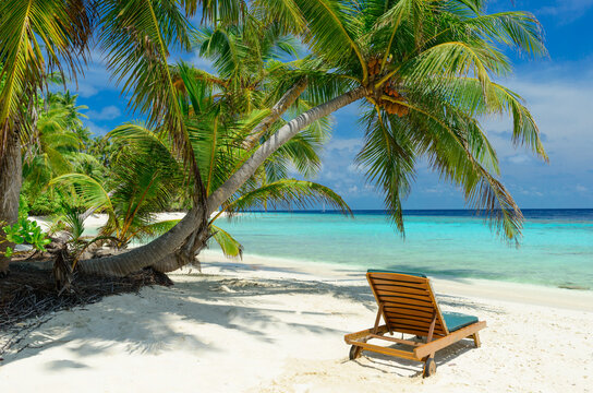 Tropical Beach on the Maldives