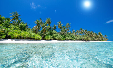 Tropical Island on the Maldives - 644544522