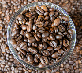 Fototapeta premium Cup with coffe on the roasted coffe beans.