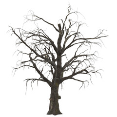 spooky old tree, Halloween elements, Dead tree