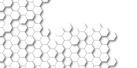 Background patternwith hexagon. White Hexagonal Background. Luxury White Pattern. Vector Illustration. 3D Futuristic abstract honeycomb mosaic white background. geometric mesh cell texture.