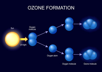 ozone formation.