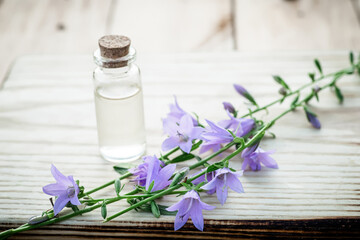 Obraz na płótnie Canvas Campanula rotundifolia: a natural remedy, artistically arranged on rustic wood and a tincture of flowers for use by the herbalist in an alternative treatment