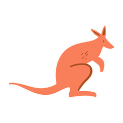 Kangaroo Illustration