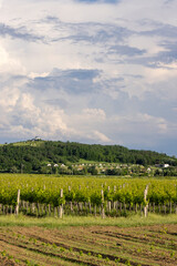 Fototapeta premium Traditional wine cellars (Gombos-hegyi pincesor) in Hercegkut, UNESCO site, Great Plain, North Hungary