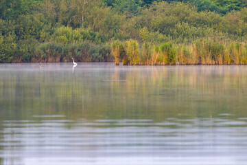 Svet pond in Trebon, Southern Bohemia, Czech Republic