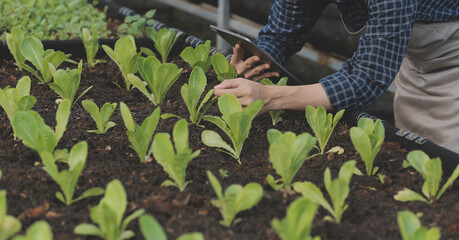 In the Industrial Greenhouse Two Agricultural Engineers Test Plants Health and Analyze Data with...