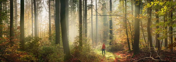 Foto auf Alu-Dibond Feenwald Fabulous misty autumn scenery in a forest, extra wide panorama with a man standing in a clearing and rays of soft light enhancing the magical fairytale mood