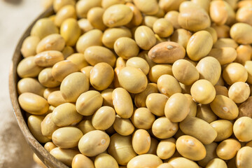 Organic Yellow Mayacoba Beans
