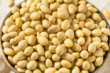 Organic Yellow Mayacoba Beans