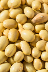 Organic Yellow Mayacoba Beans