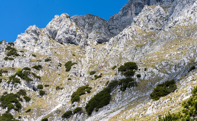Scheffauer, Austria, Hiking Trail in Alps near Kufstein