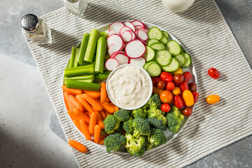 Healthy Homemade Veggie Tray Appetizer