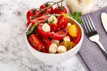 Italian Caprese salad with tomato and mozzarella