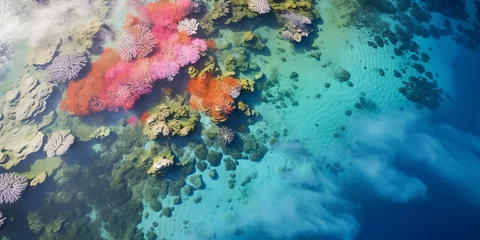 Fotobehang aerial view of a coral reef, vivid colors under crystal - clear waters, sunbeams penetrating the ocean © Marco Attano