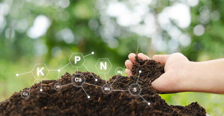 Testing fertile soil outdoors in close-up and with needed for planting. future agriculture Smart farming using modern agricultural technology to check soil quality control before planting seeds.
