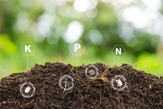 Testing fertile soil outdoors in close-up and with needed for planting. future agriculture Smart farming using modern agricultural technology to check soil quality control before planting seeds.