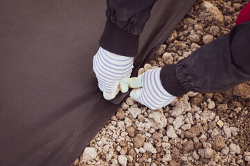 A person hammers a plastic stake into the ground to hold the agrofibre on the ground.